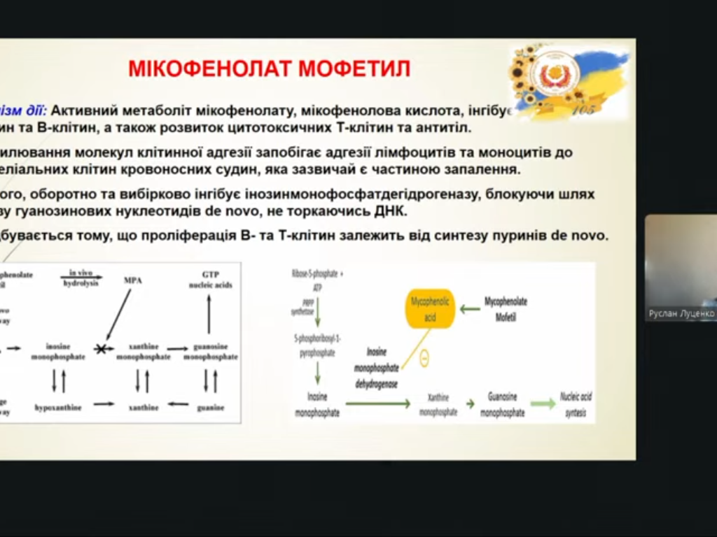 Всеукраїнський освітній проєкт Академія досвідченого лектора