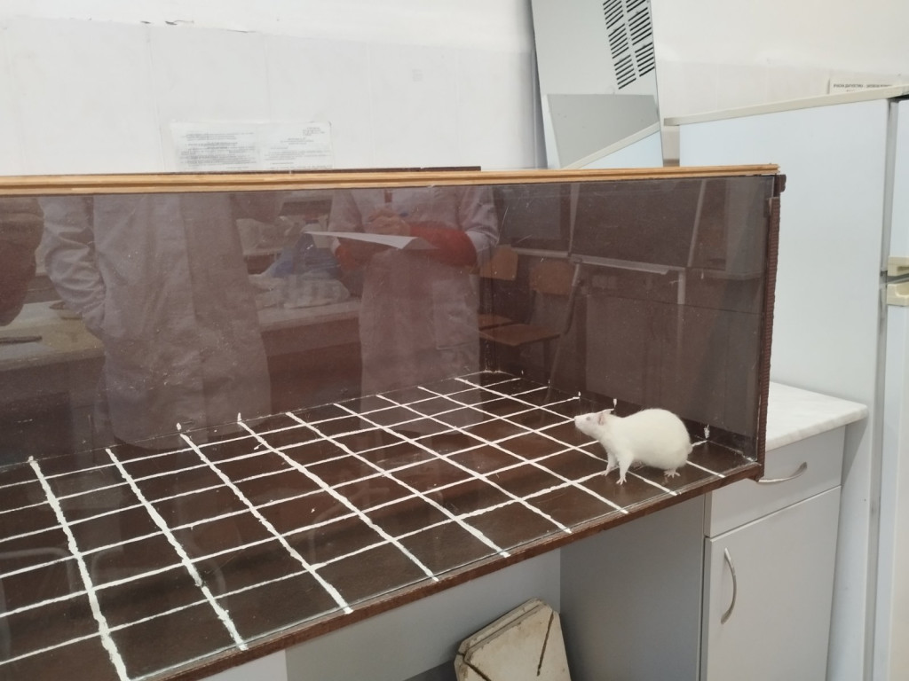 Триває робота гуртка