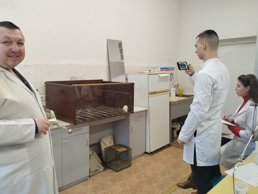 Триває робота гуртка