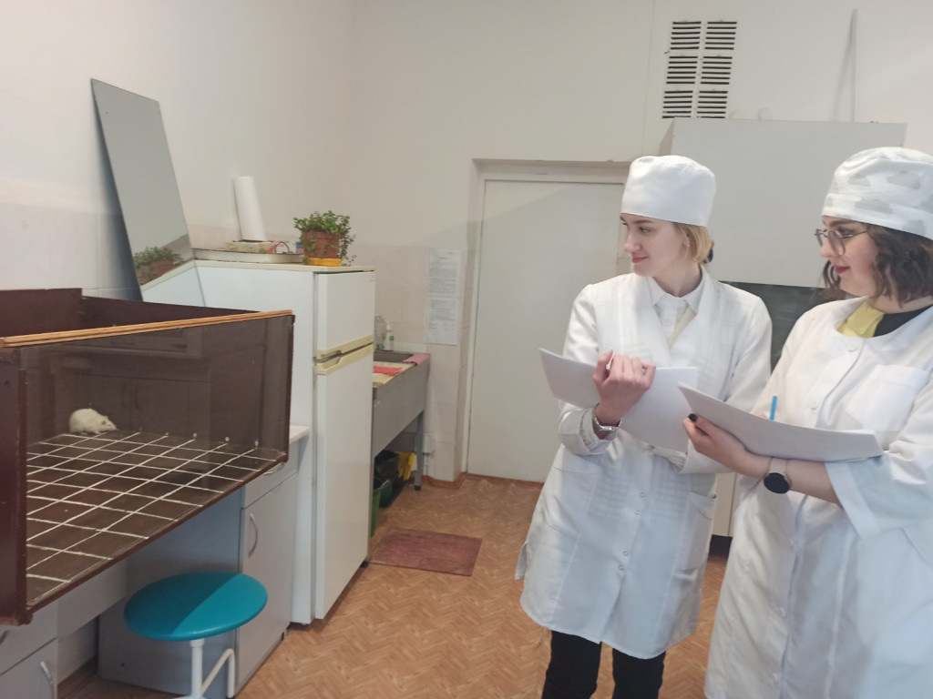 Участь здобувачів освіти в експериментально-дослідній роботі