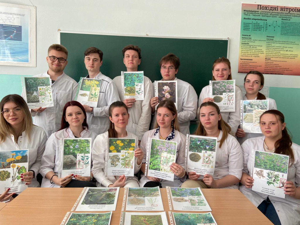 Лікарські рослини для підтримки здоров'я