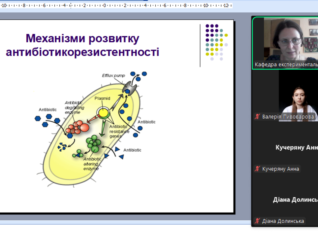 Резистентність до антибіотиків