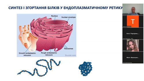 Відіотека