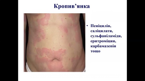 Відіотека