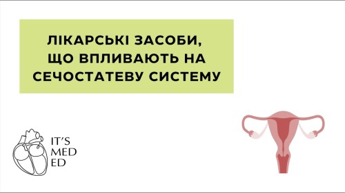Відеотека