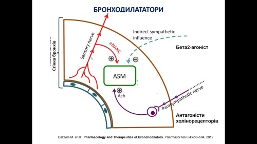Відіотека