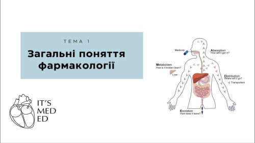 Відіотека