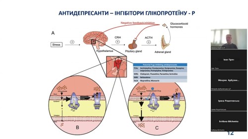Відеотека