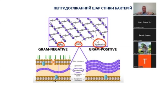 Відіотека